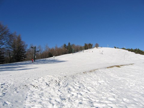 Montagne de Lure - Alpes de Haute Provence - région PACA