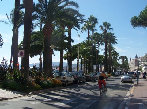 Cannes, la Croisette - alpes maritimes PACA