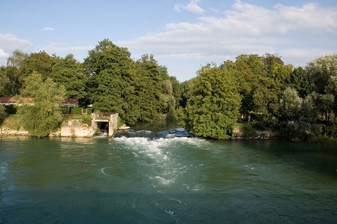 L'aube à Arcy sur Aube -  Aube - Champagne ardennes