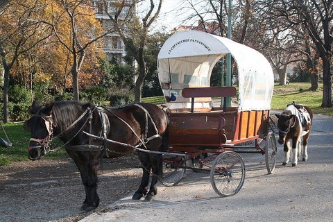 Attelage - chariot baché - Marseille