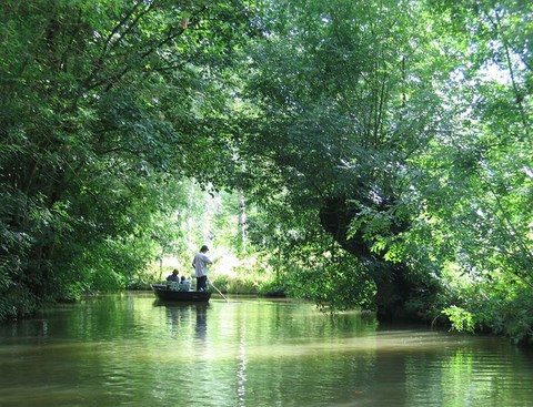 Le Marais poitevin - Charente Maritime - Poitou-Charente