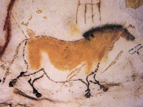 Grottes de Lascaux - cheval - Aquitaine - Dordogne