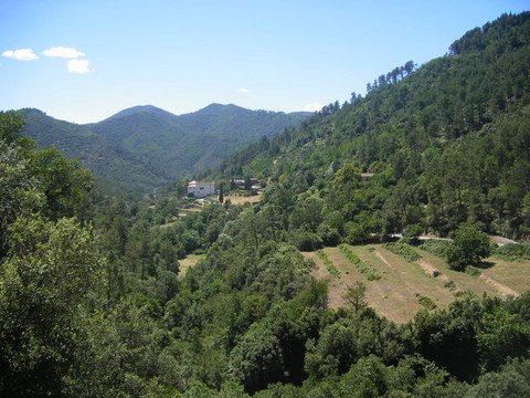 Corniche des Cévennes - Gard - Languedoc-Roussillon