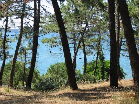 Plage d'Arcachon - Gironde - Aquitaine 