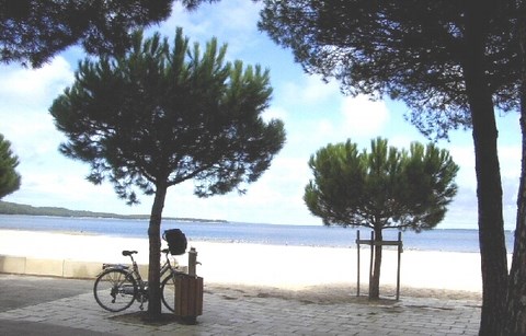 Lac de Carcans Hourtin - Gironde - Aquitaine 