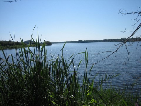 Parc naturel de la Brenne - étang de la mer rouge - Indre - Centre