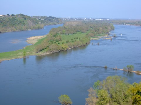 Champtoceaux. La loire et l'île neuve - Maine et Loire - Pays de Loire