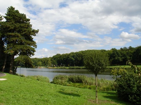 Creutzwald, le lac - Moselle - Limousin