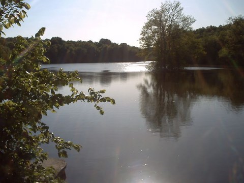 Chantilly, les étangs de Commelles - Oise - Picardie