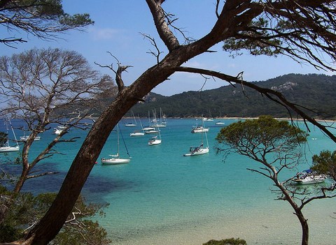 Porquerolles, plage de la Courtade - Var - PACA