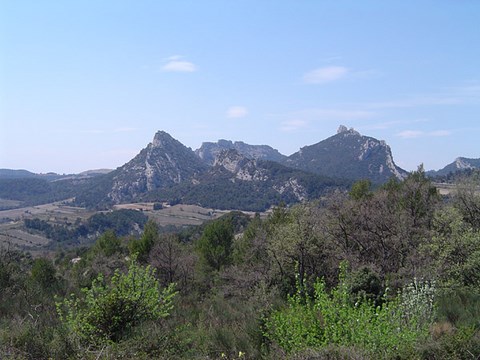 Les dentelles de Montmirail - Vaucluse - alpes-provence-cote d'azur (PACA)