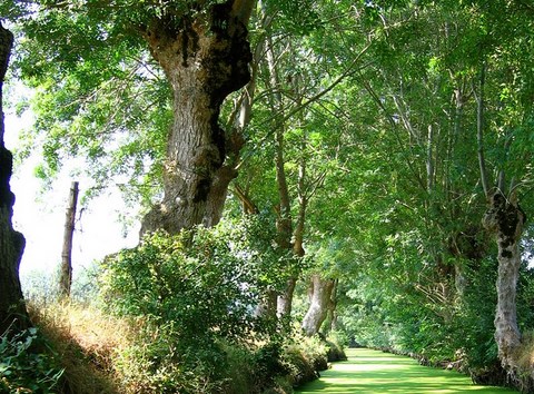 Maillezais, le marais poitevain - Vendée - Pays de Loire