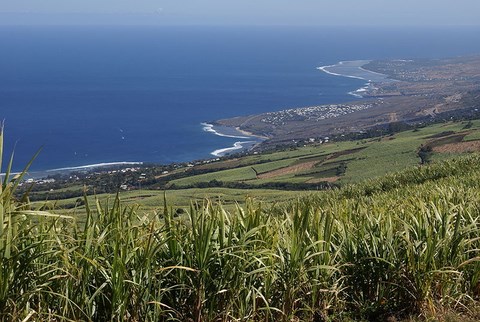 La côte littorale  au nord de St Leu - Ile de la Réunion