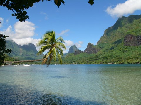 Moréa, la baie de Cook - Polynésie Française