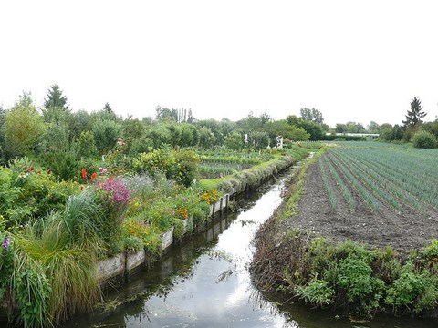 Amiens, les hortillonnages - Somme - Picardie