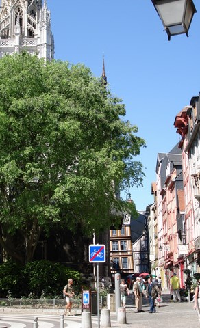 Rouen, rue Piétonne - Seine-Maritime - Normandie