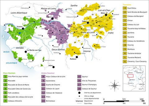 vignobles de basse loire